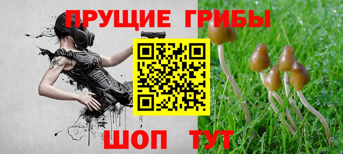 Зеленокумск  Галлюциногенные грибы ЛСД  Вход с VPN  Псилоцибиновые грибы мицелий 